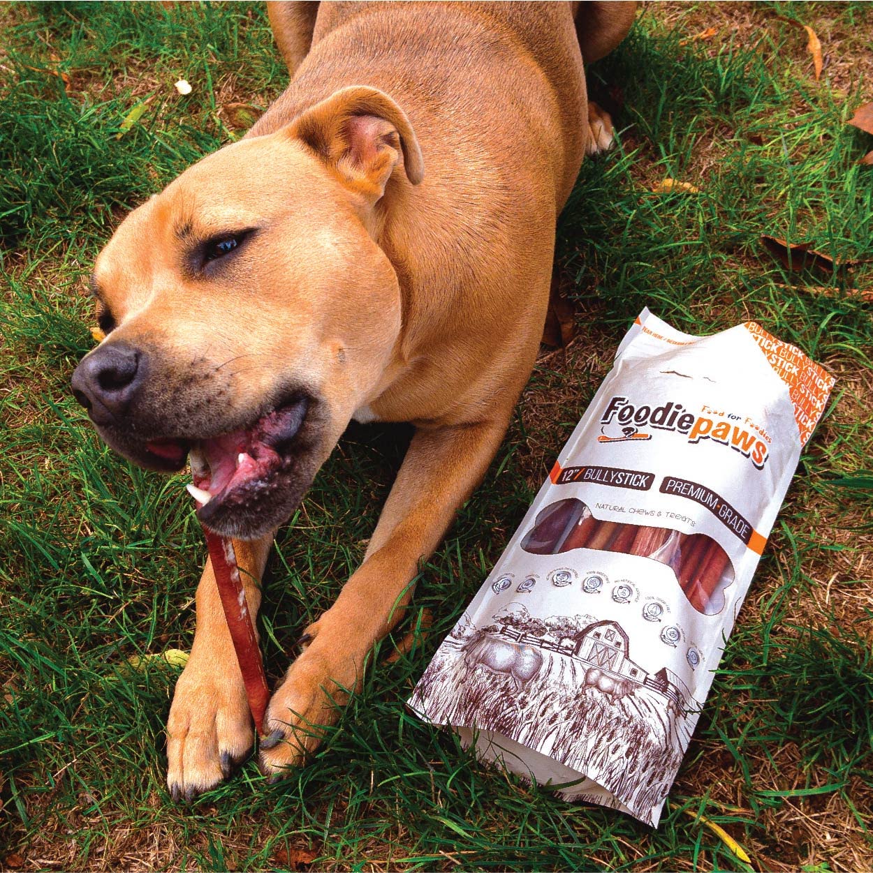 FOODIEPAWS puppy-teething chew; soothing for young dogs