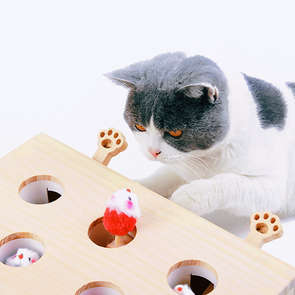 FOOPOMARY multi-pet use image showing cats and dogs enjoying the toy
