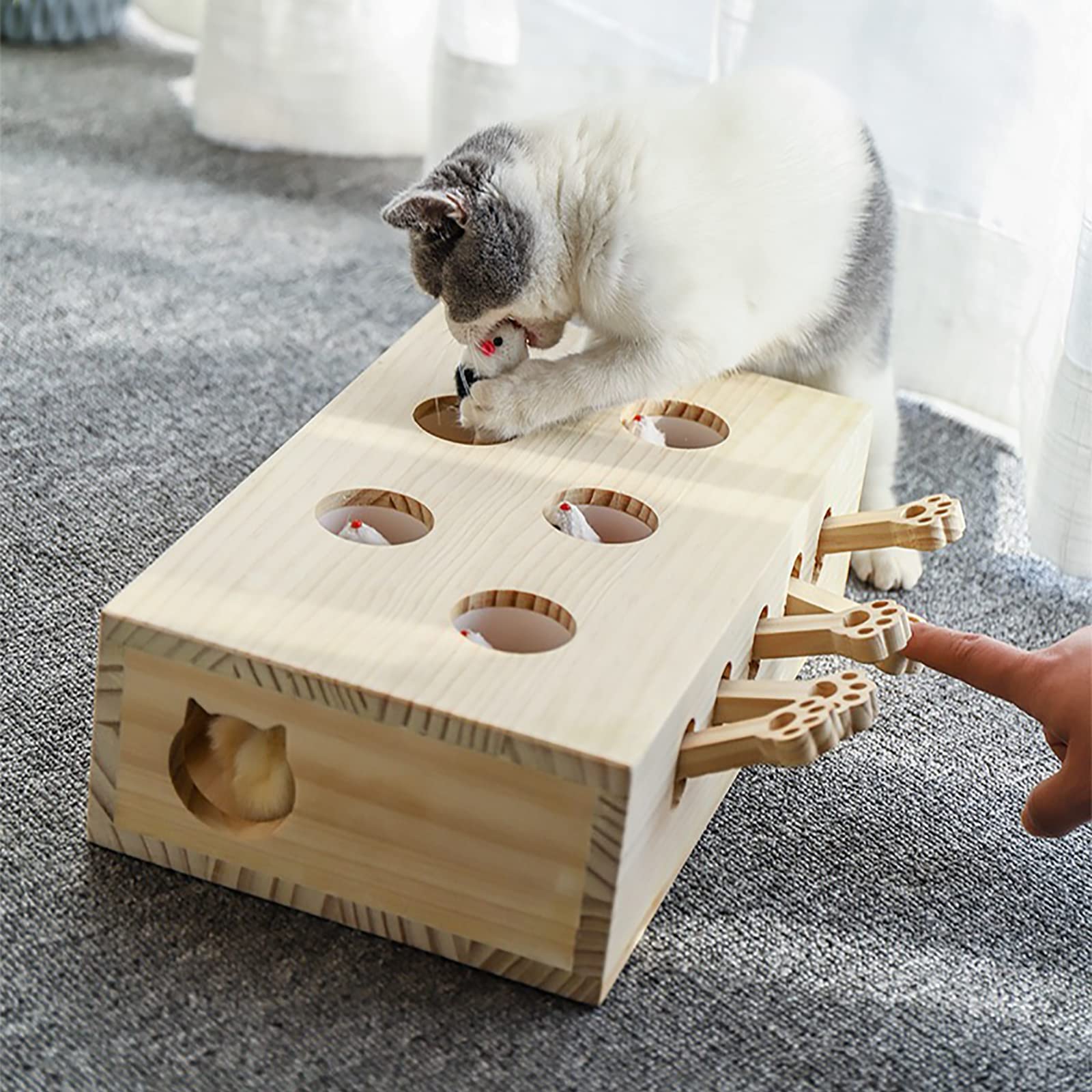 FOOPOMARY gift-ready packaging highlighting a thoughtful cat gift idea