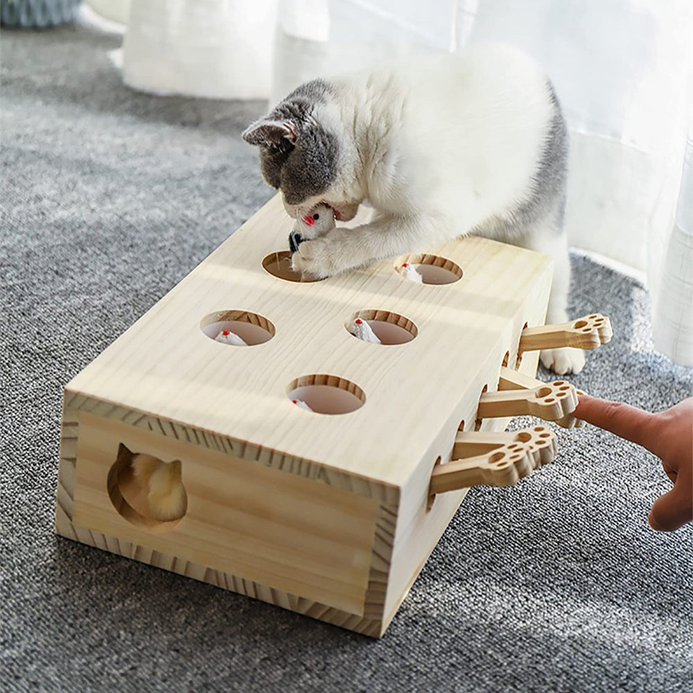 FOOPOMARY gift-ready packaging highlighting a thoughtful cat gift idea