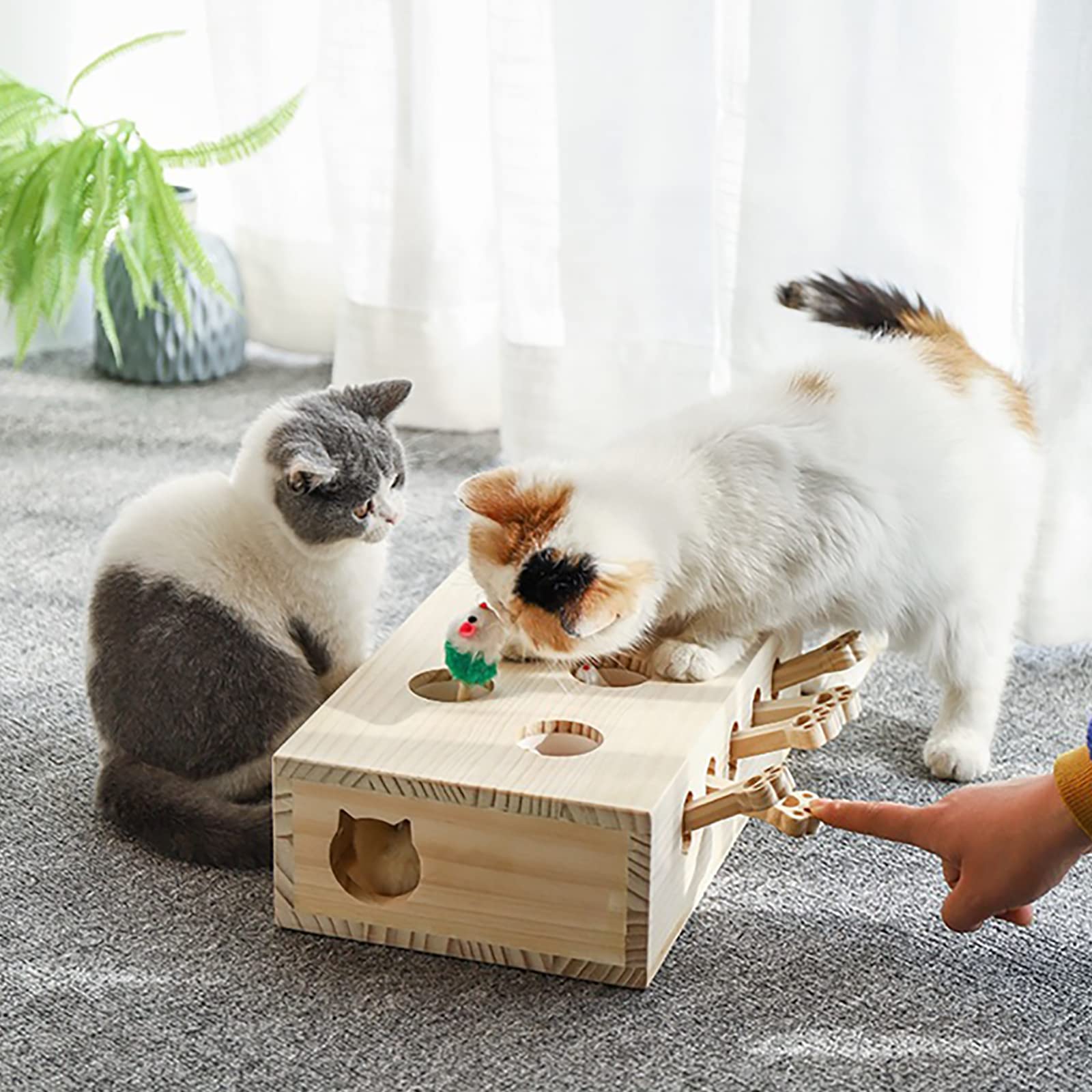 FOOPOMARY toy ready-to-use with no assembly required for instant fun