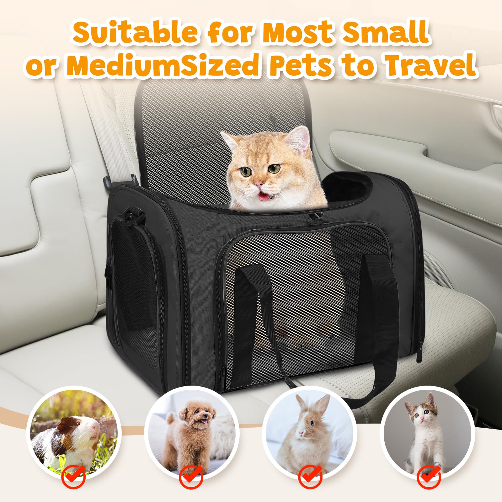 FOORLON cat carrier features lockable zippers to prevent escapes during travel
