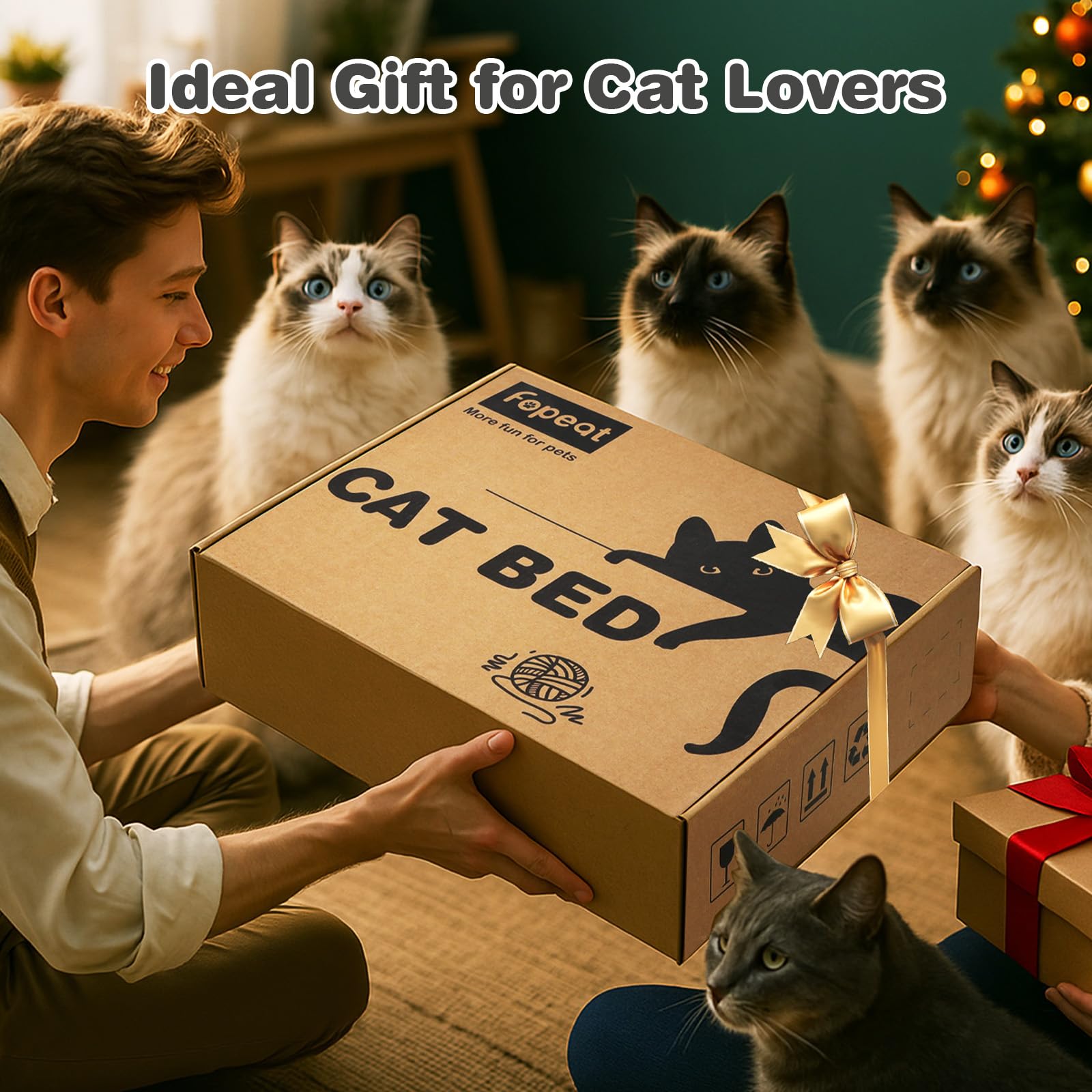 Fopeat multi-cat lounging setup shows ample space for siblings