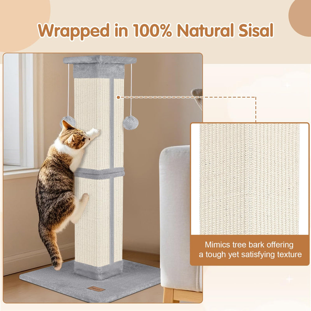Fopetfy cat-play-exercise-scratching demonstrates activity and enrichment for curious felines.