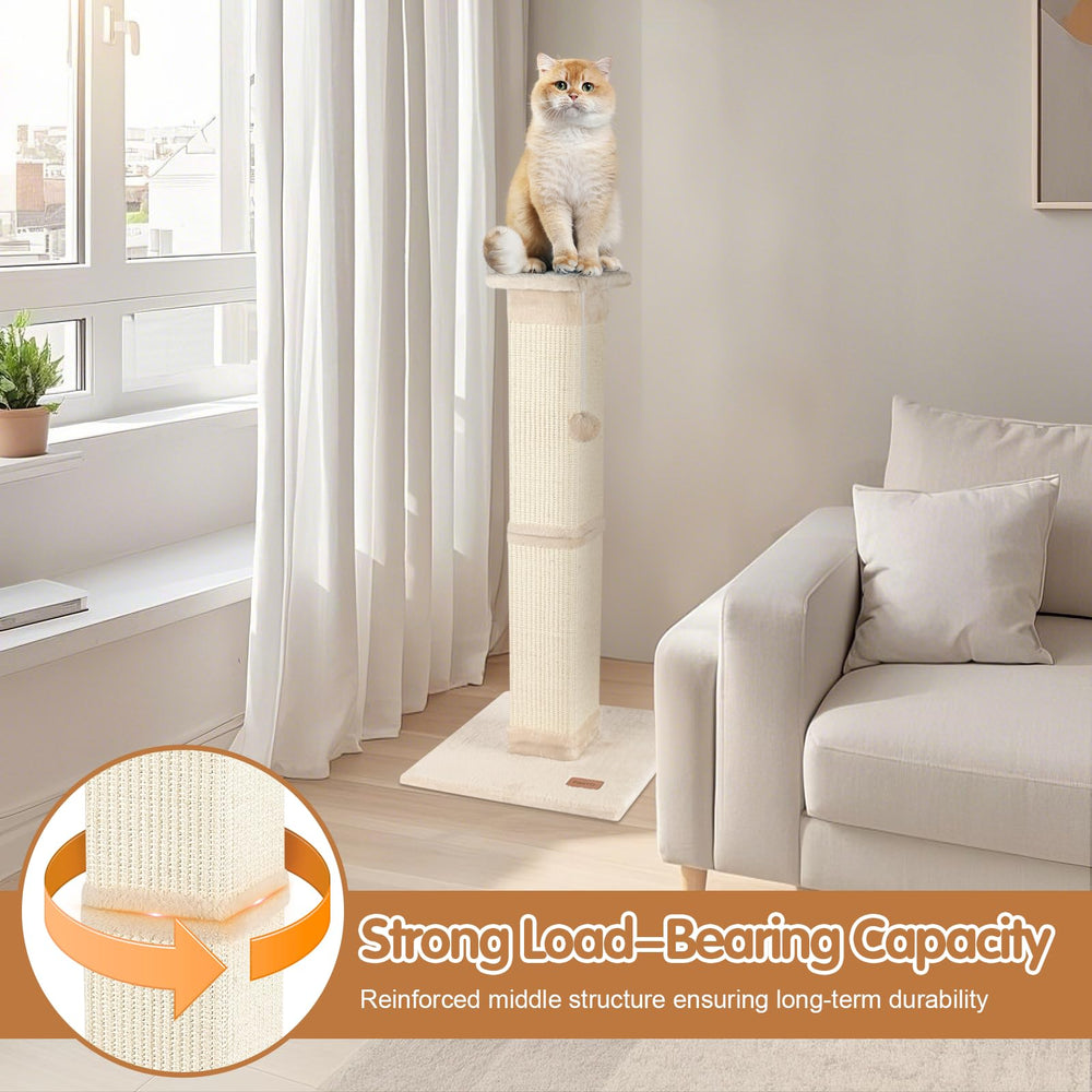 Fopetfy reinforced middle structure ensures durability for active cats