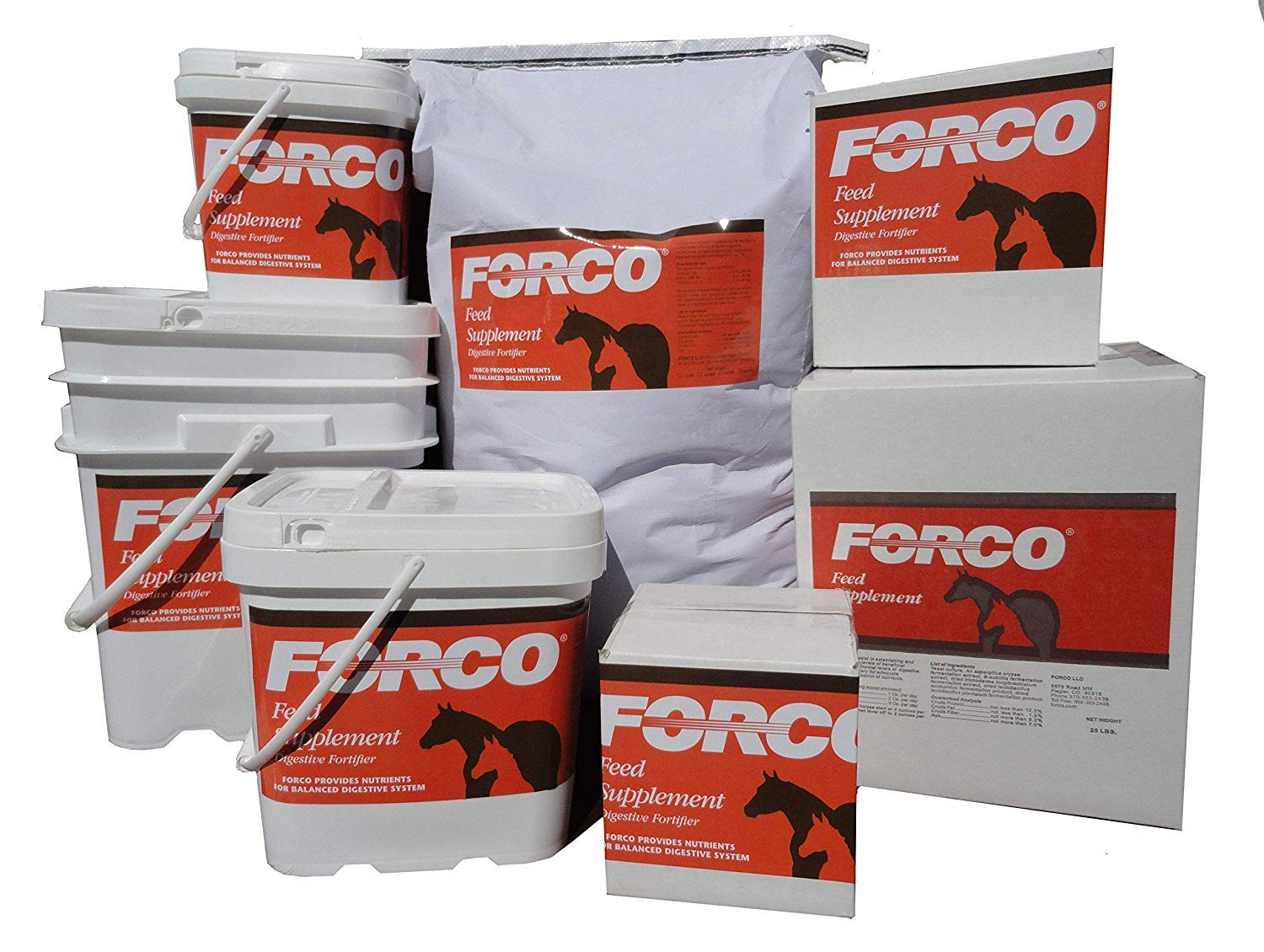 Forco Digestive Fortifier pellet close-up; supports digestive balance for horses and bulls