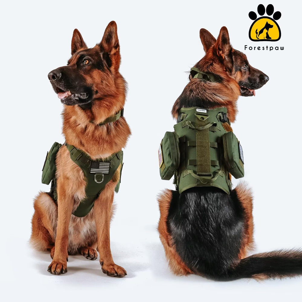 Forestpaw 1000D nylon construction close-up for durability