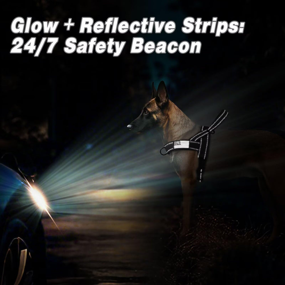 Forestpaw 1000D nylon harness delivers rugged durability for daily adventures.