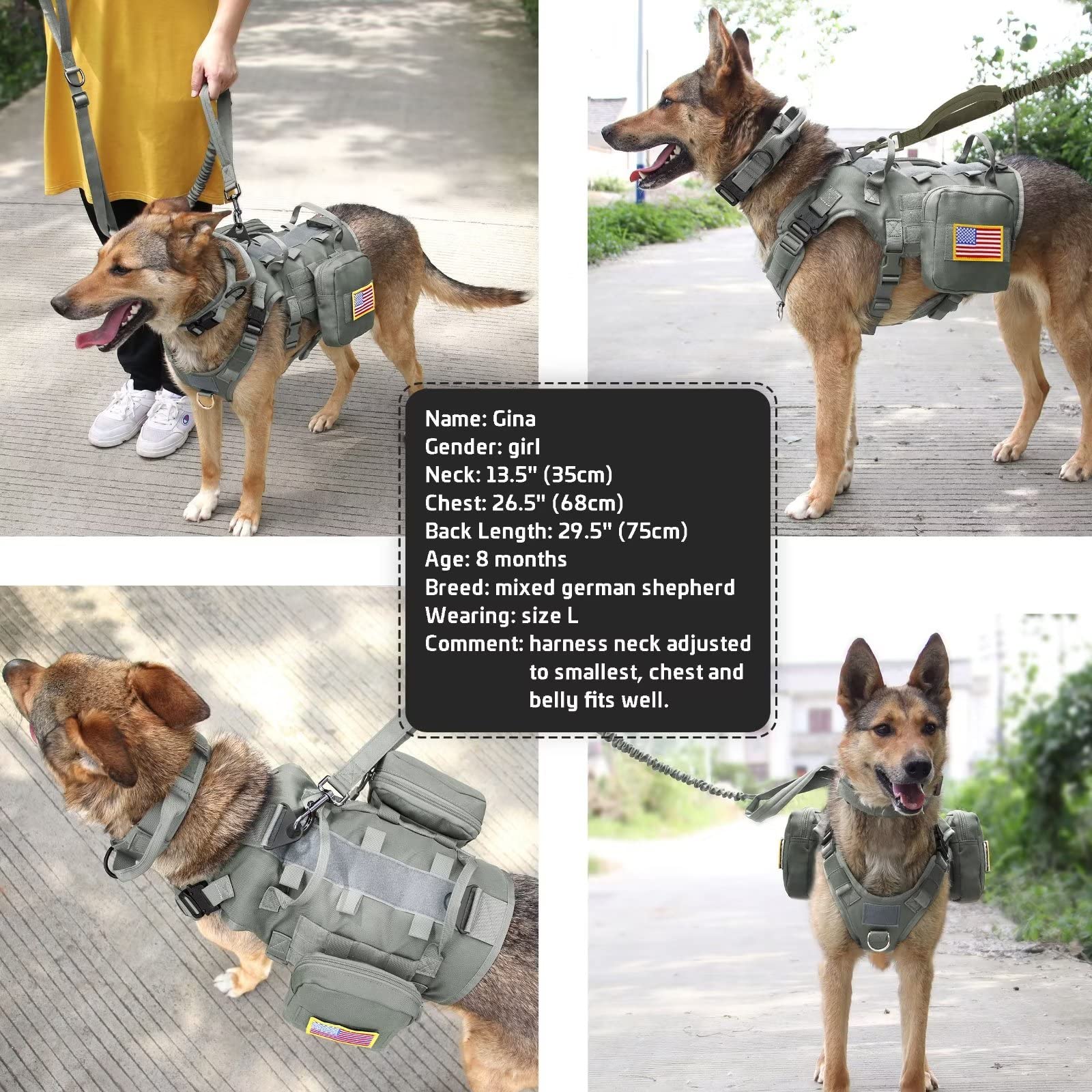 Forestpaw adjustable nylon straps ensure a comfy fit across medium to XL dogs.