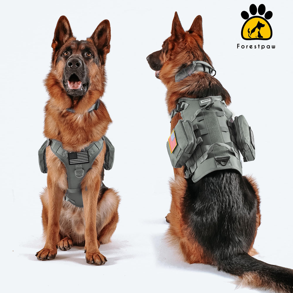 Forestpaw breathable mesh lining keeps dogs comfortable on extended wear.