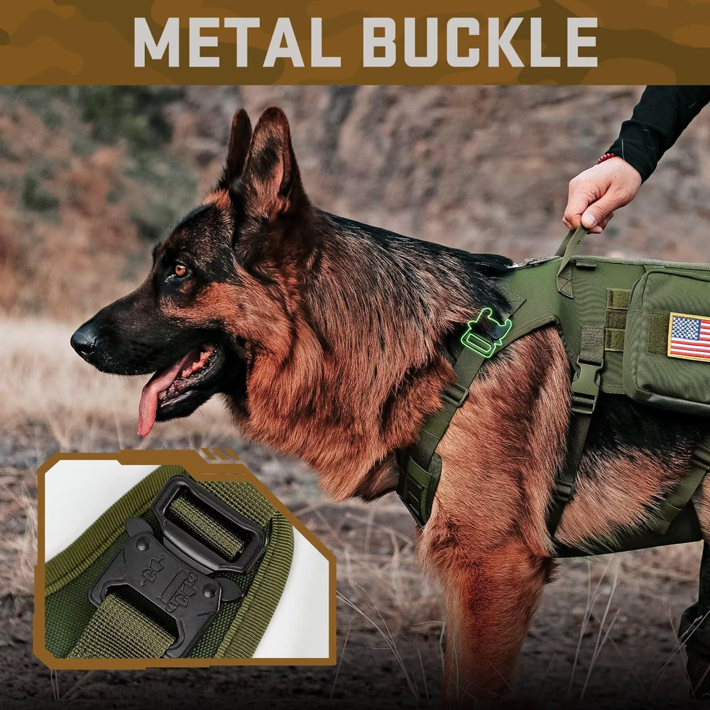 Forestpaw bungee leash in use for dynamic walking control