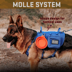 Forestpaw bungee leash with two handles supports jogging in crowded areas