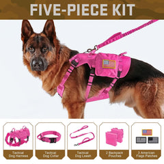 Forestpaw bungee leash with two handles for controlled runs