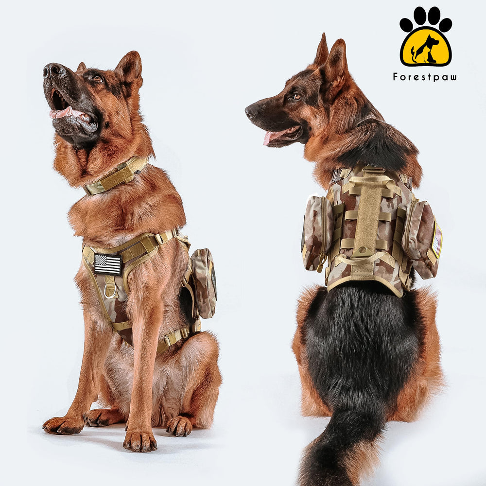 Forestpaw camouflage brown design blends style with practical training use.