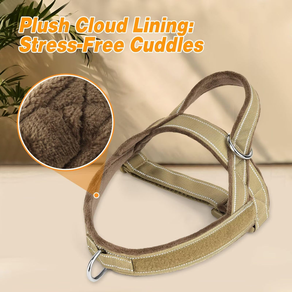 Forestpaw chest-girth-sizing ensures accurate fit for medium to large dogs.