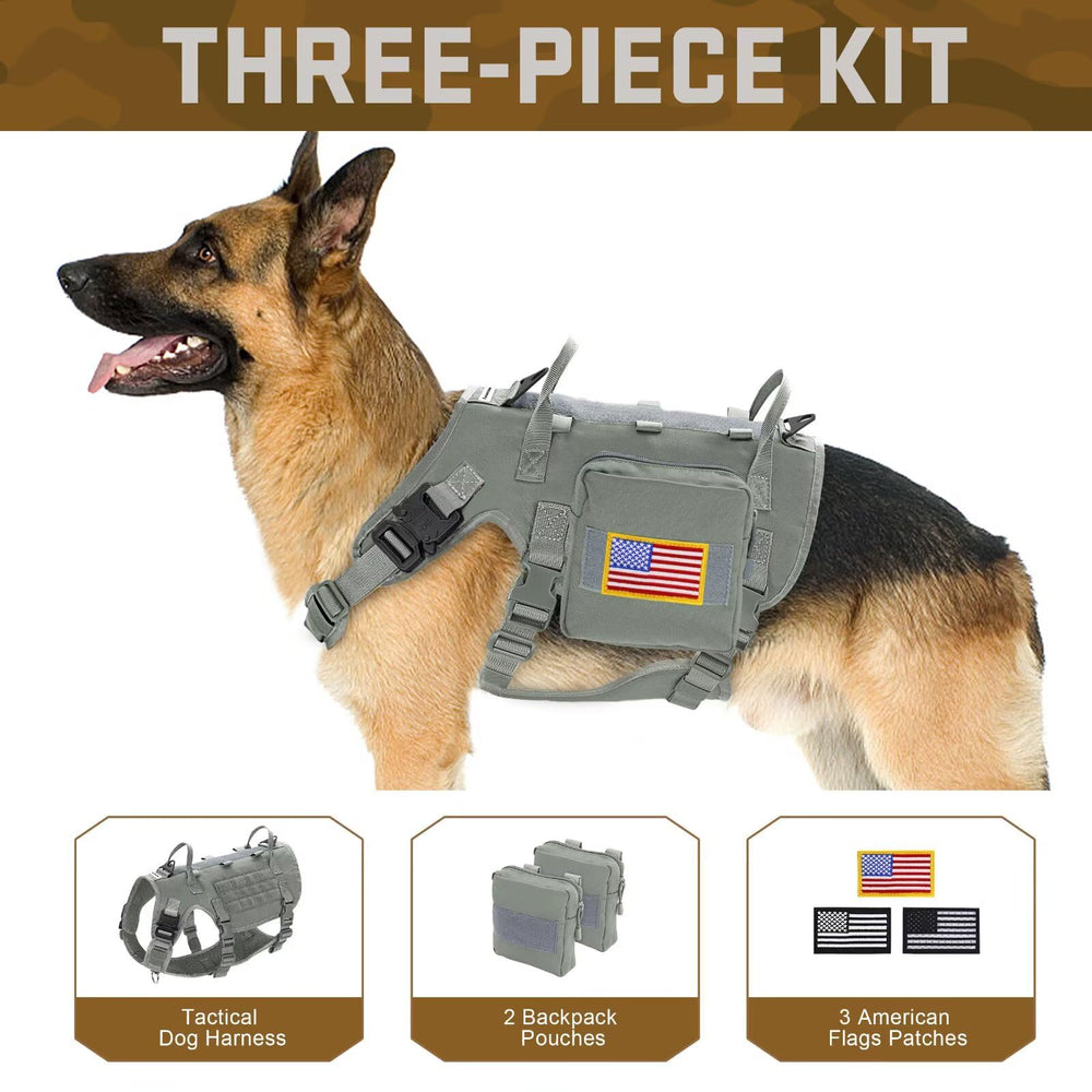 Forestpaw harness escape-proof design shown for rugged outdoor use