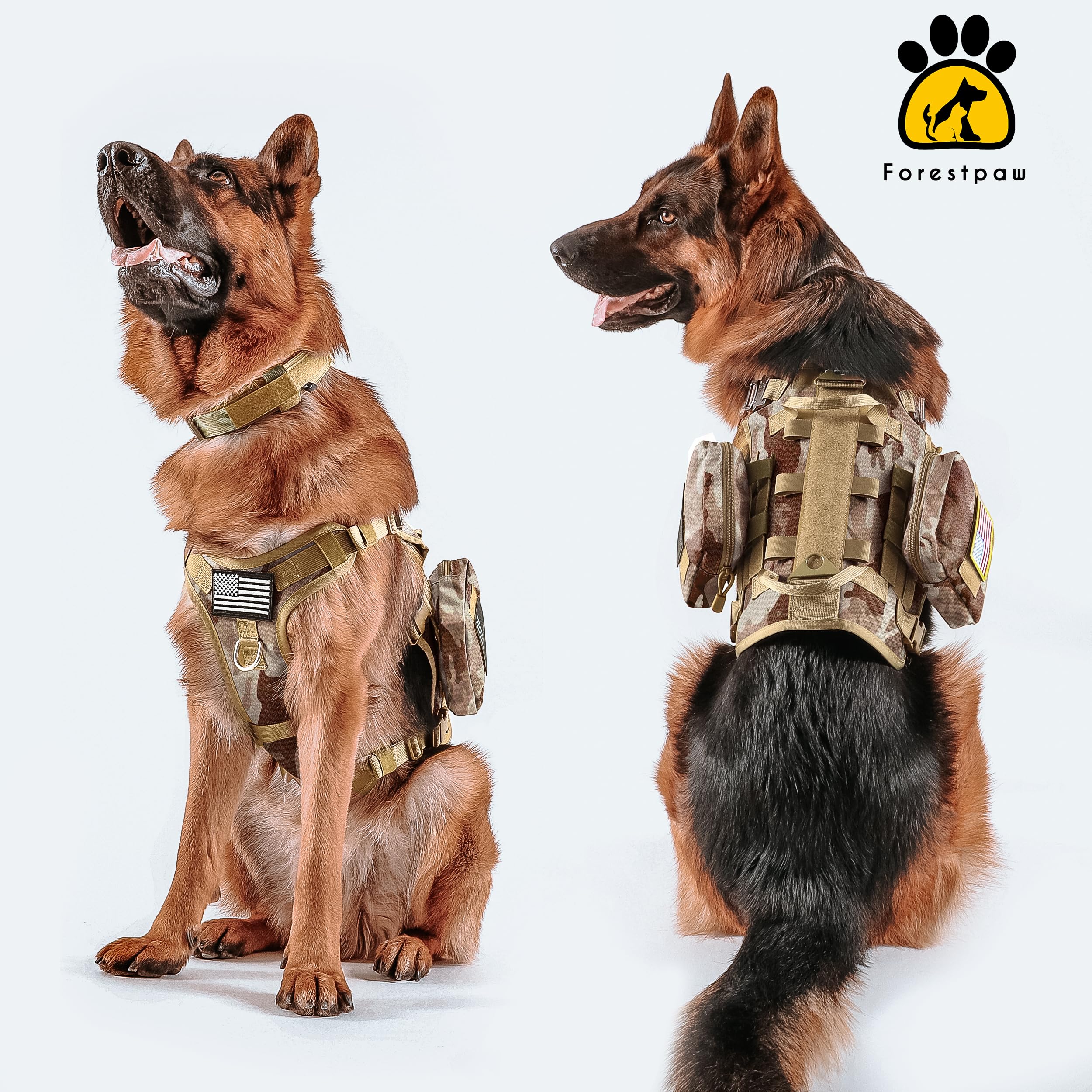 Forestpaw harness in park use shows comfortable fit and no-pull design.