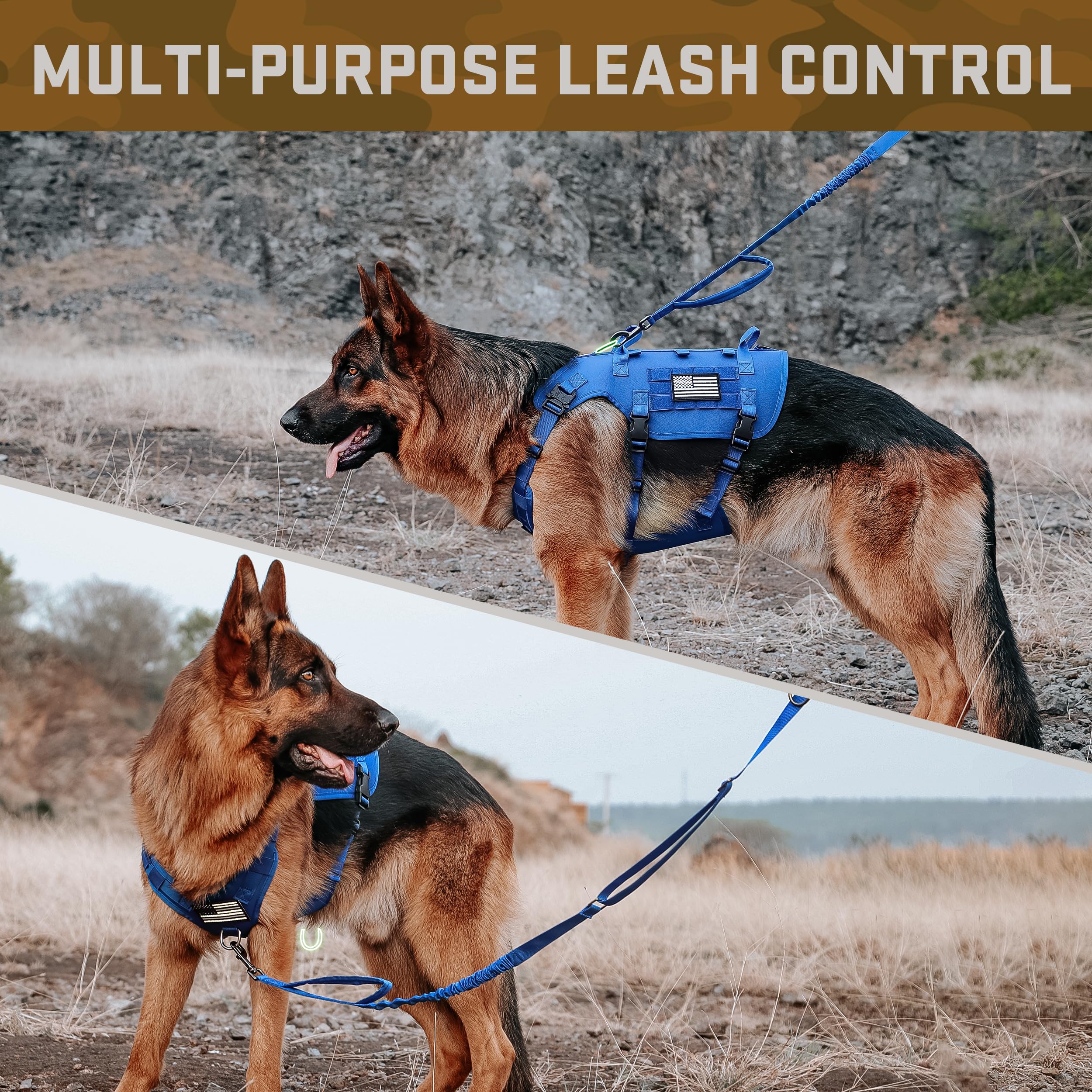 Forestpaw dog harness medium outdoors-use image displays all-day wear on trail.