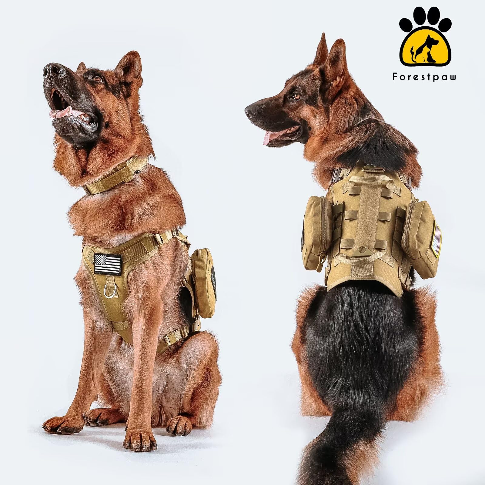 Forestpaw medium harness in outdoor use during a hike for comfort and durability