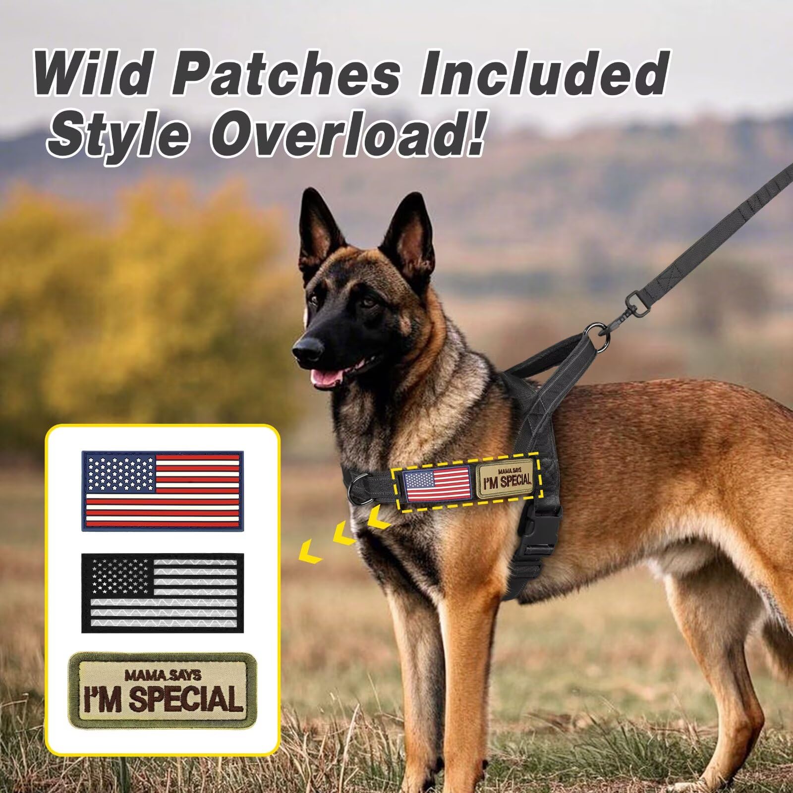 Forestpaw front-chest pressure distribution design reduces choking risk.