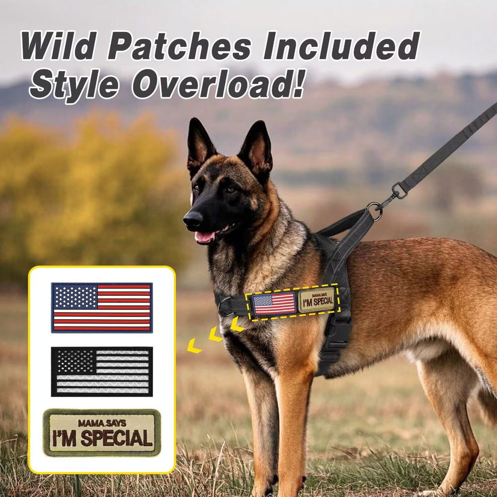 Forestpaw front-chest pressure distribution design reduces choking risk.