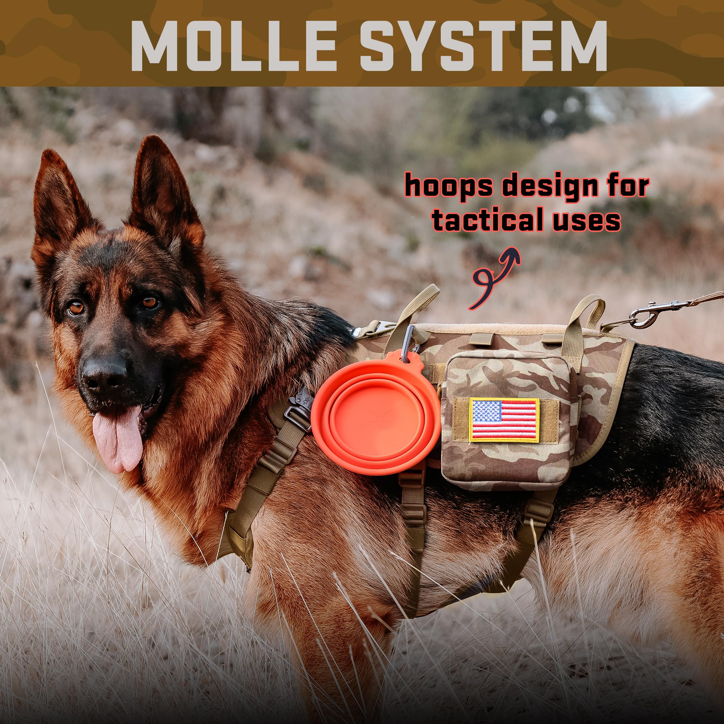 Forestpaw front D ring redirects pulls for safer urban walks.
