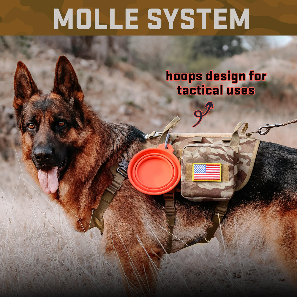 Forestpaw front D ring redirects pulls for safer urban walks.