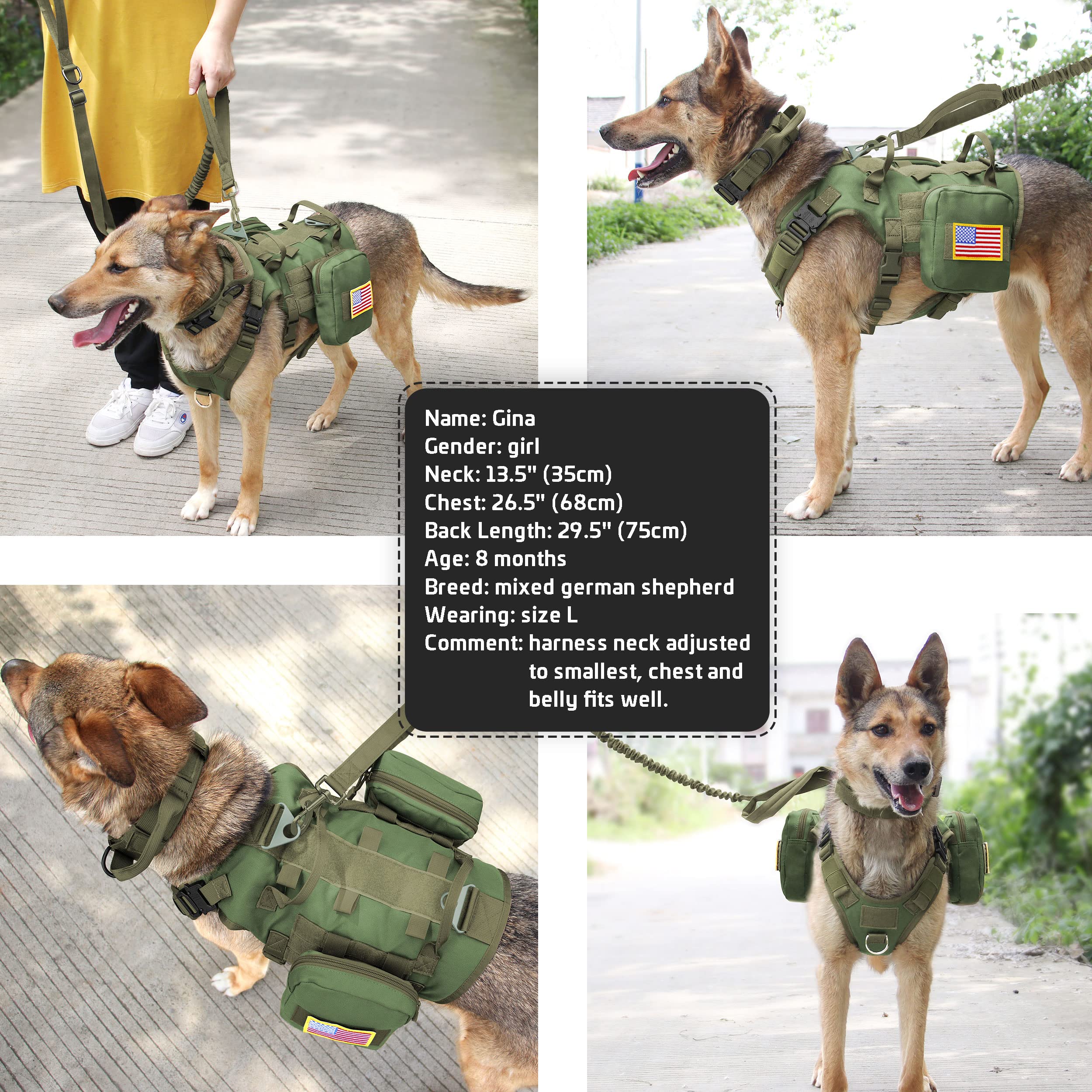 Forestpaw harness green variant ready for urban adventures