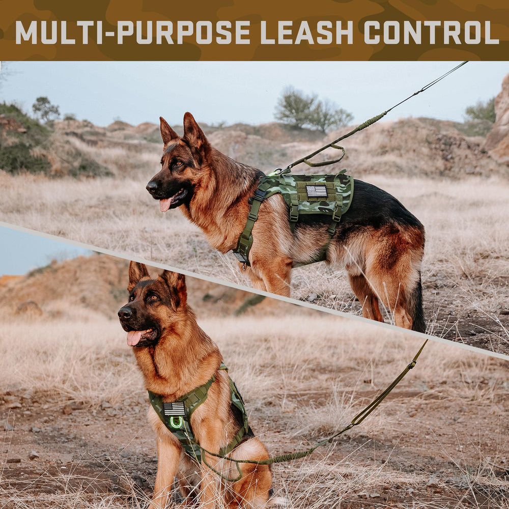 Forestpaw reflective patches aid visibility during dawn or dusk walks
