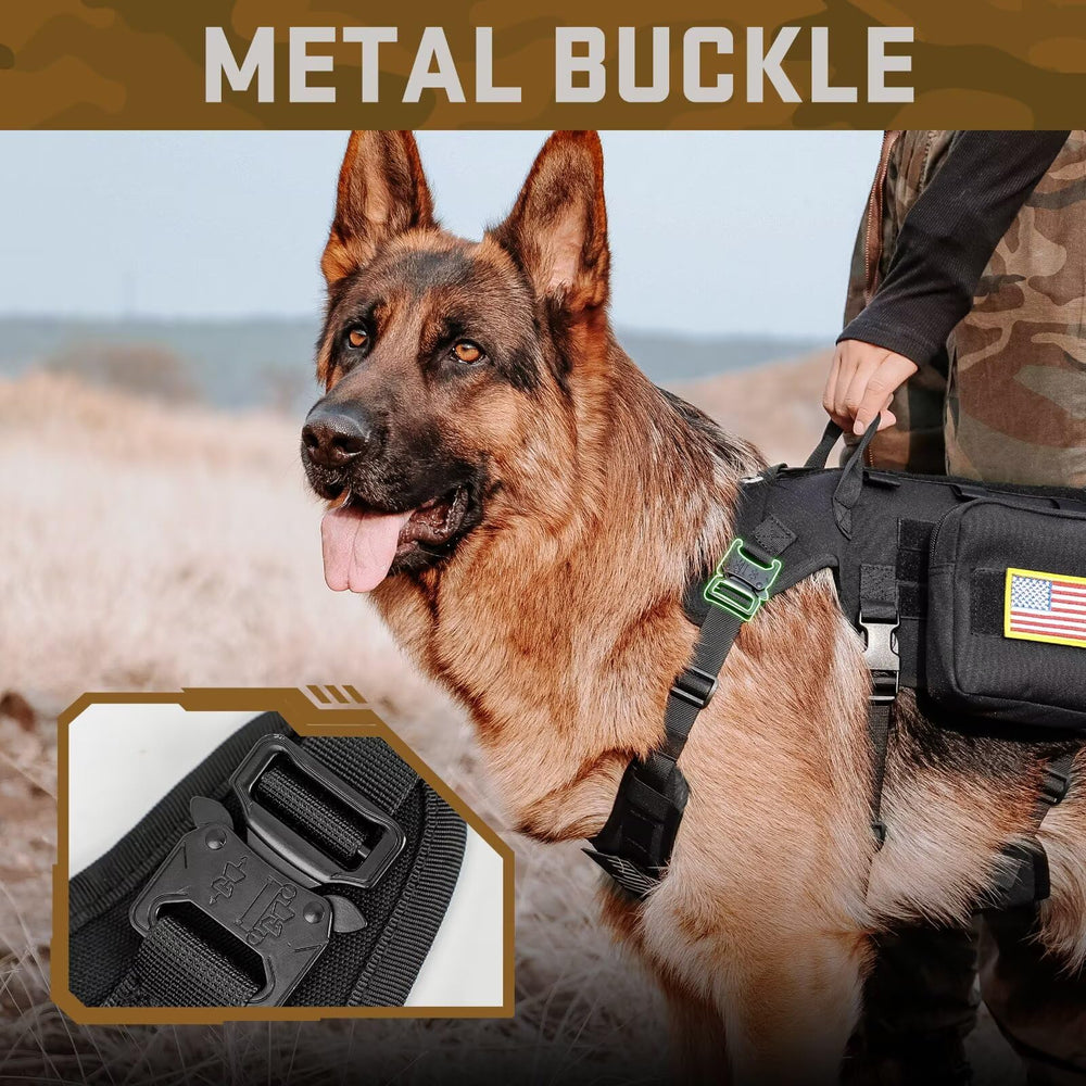 Forestpaw harness reflective patches visible in low light for safer park visits