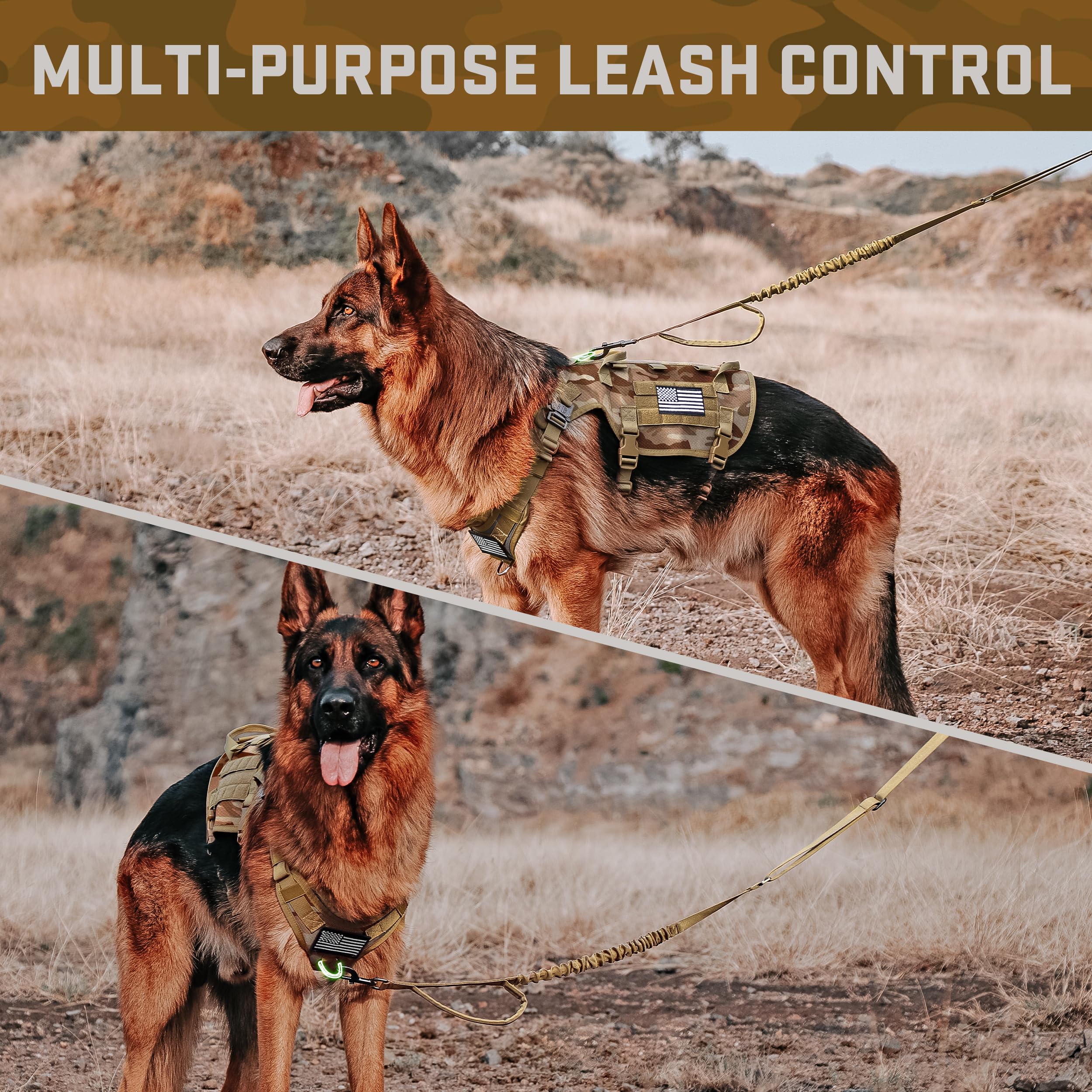 Forestpaw harness with reflective patches boosting visibility at dusk.