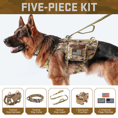 Forestpaw MOLLE backpacks on harness enable gear storage for outdoor adventures.