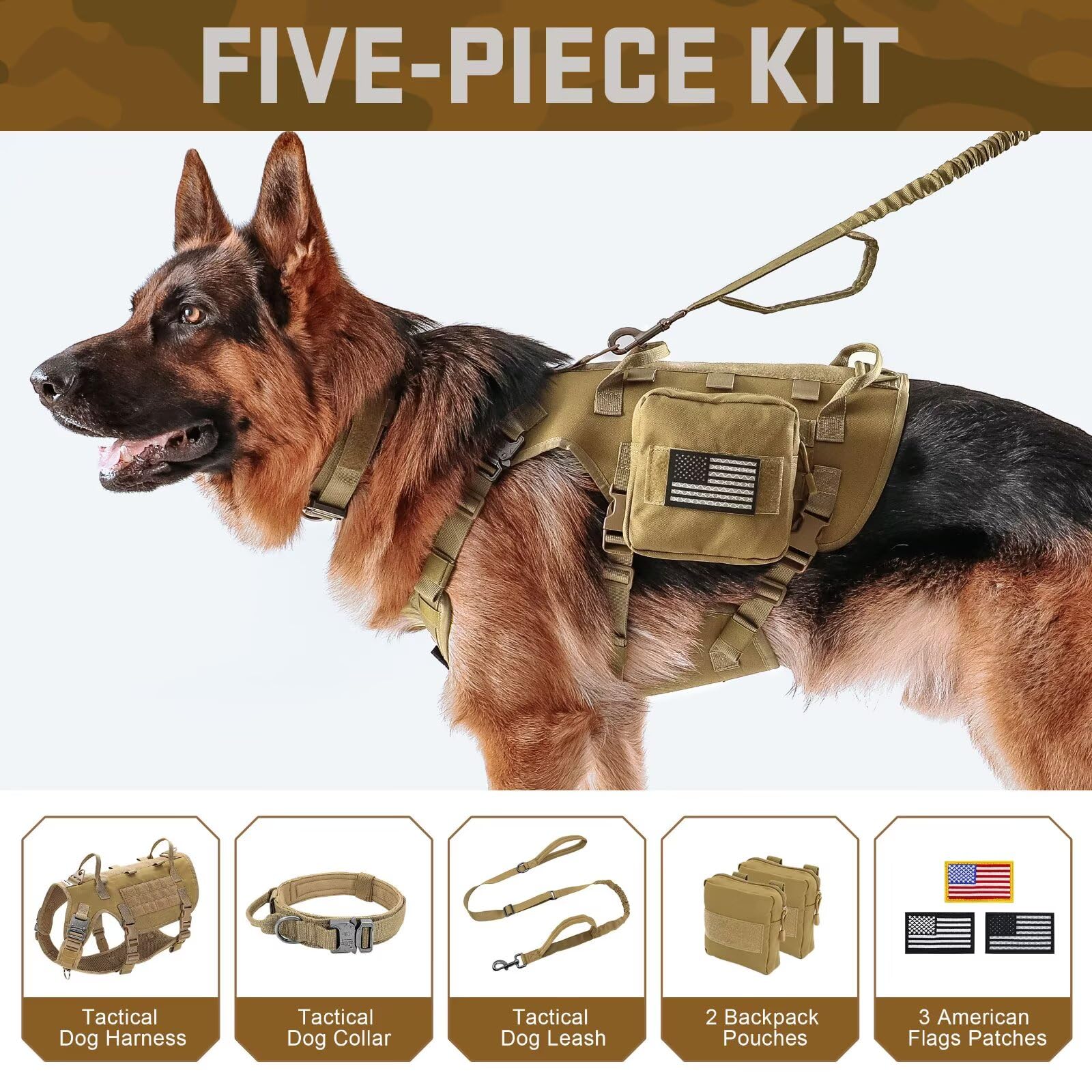 Forestpaw MOLLE backpacks attached for convenient gear storage on outdoor treks.