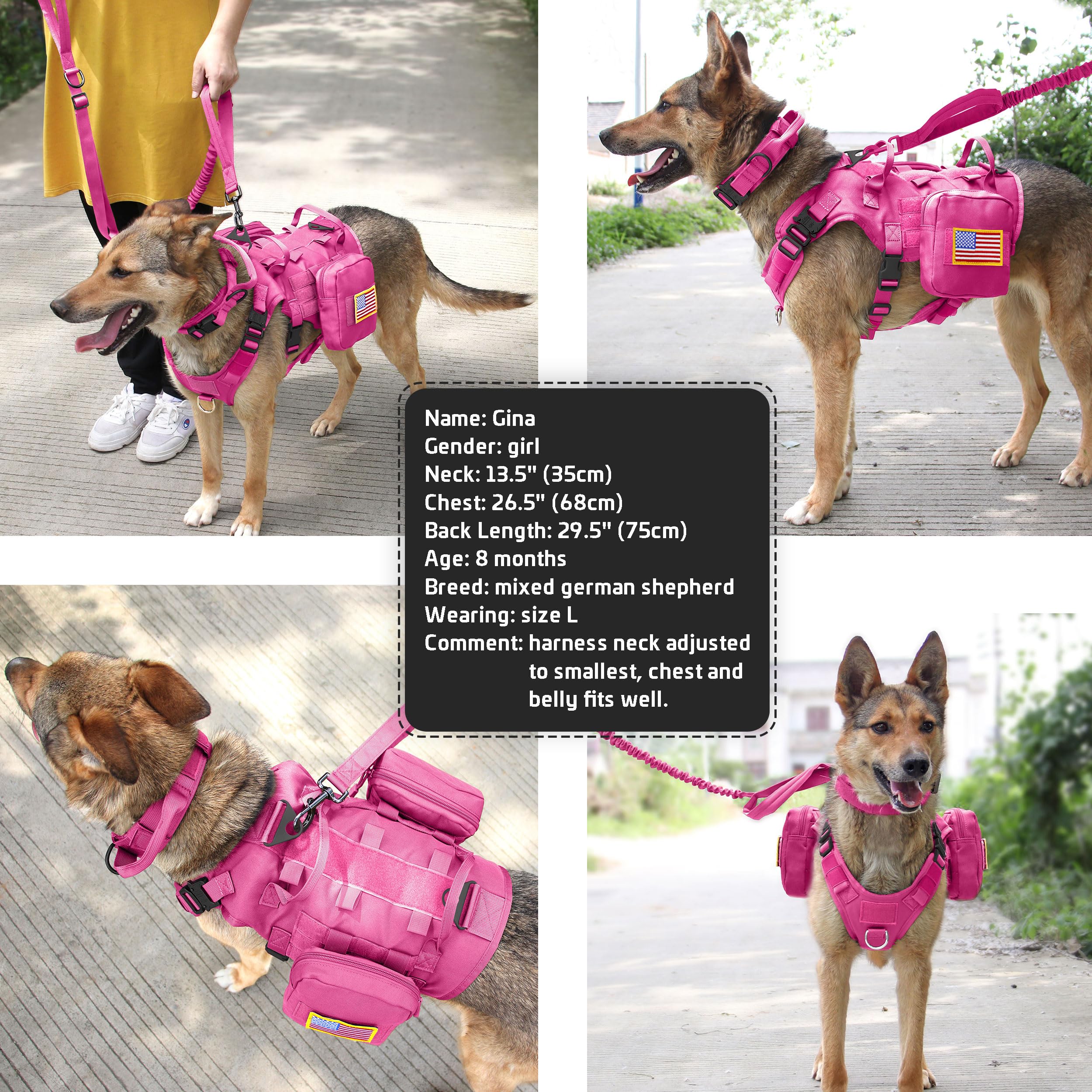 Forestpaw pink tactical bundle demonstrates complete setup for hiking and training.