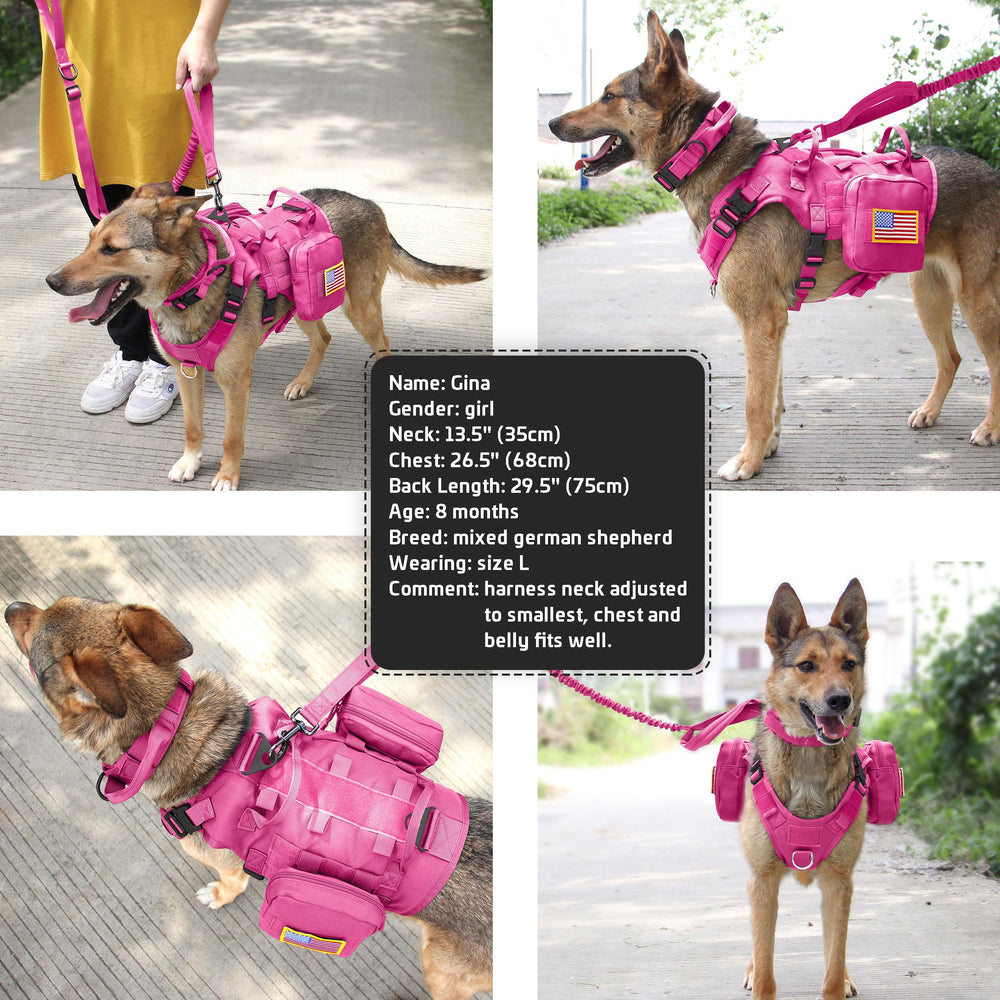 Forestpaw Pink Tactical Dog Harness color options for urban adventures.