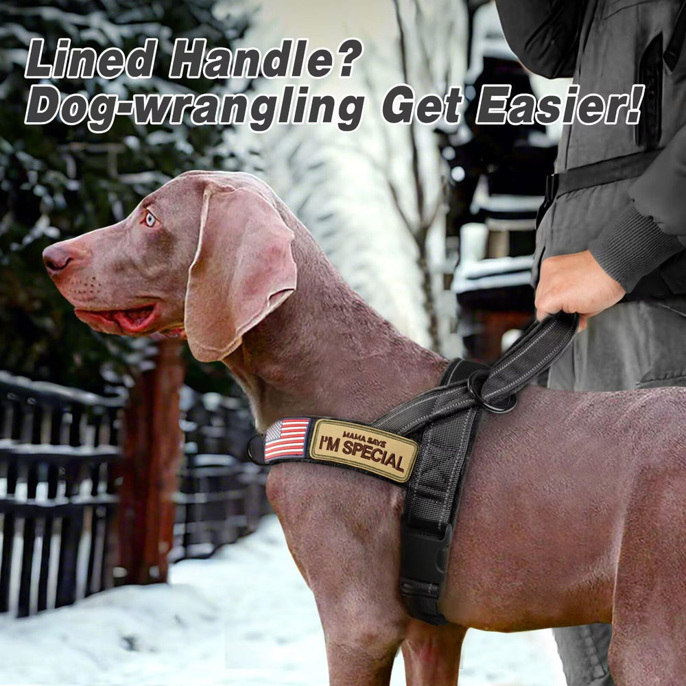 Forestpaw quick-release buckle provides fast, secure wear and removal for training.