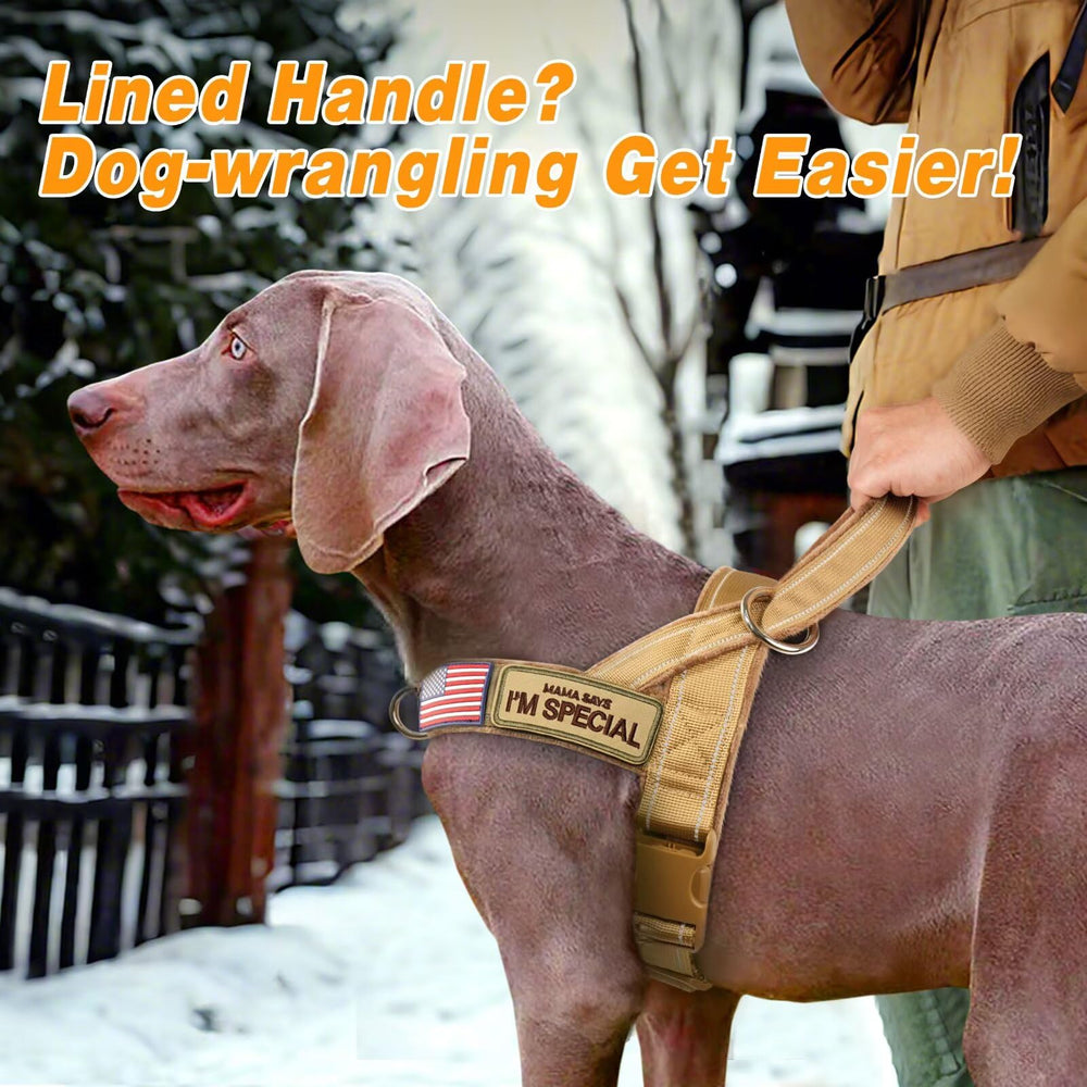 Forestpaw quick-release-buckle harness enables fast on/off during training.