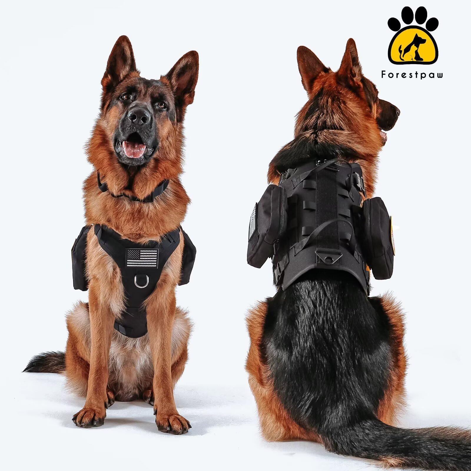 Forestpaw reflective patches on harness aid safety in low light.