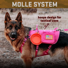 Forestpaw reflective patches seen at night improve visibility for safer strolls.