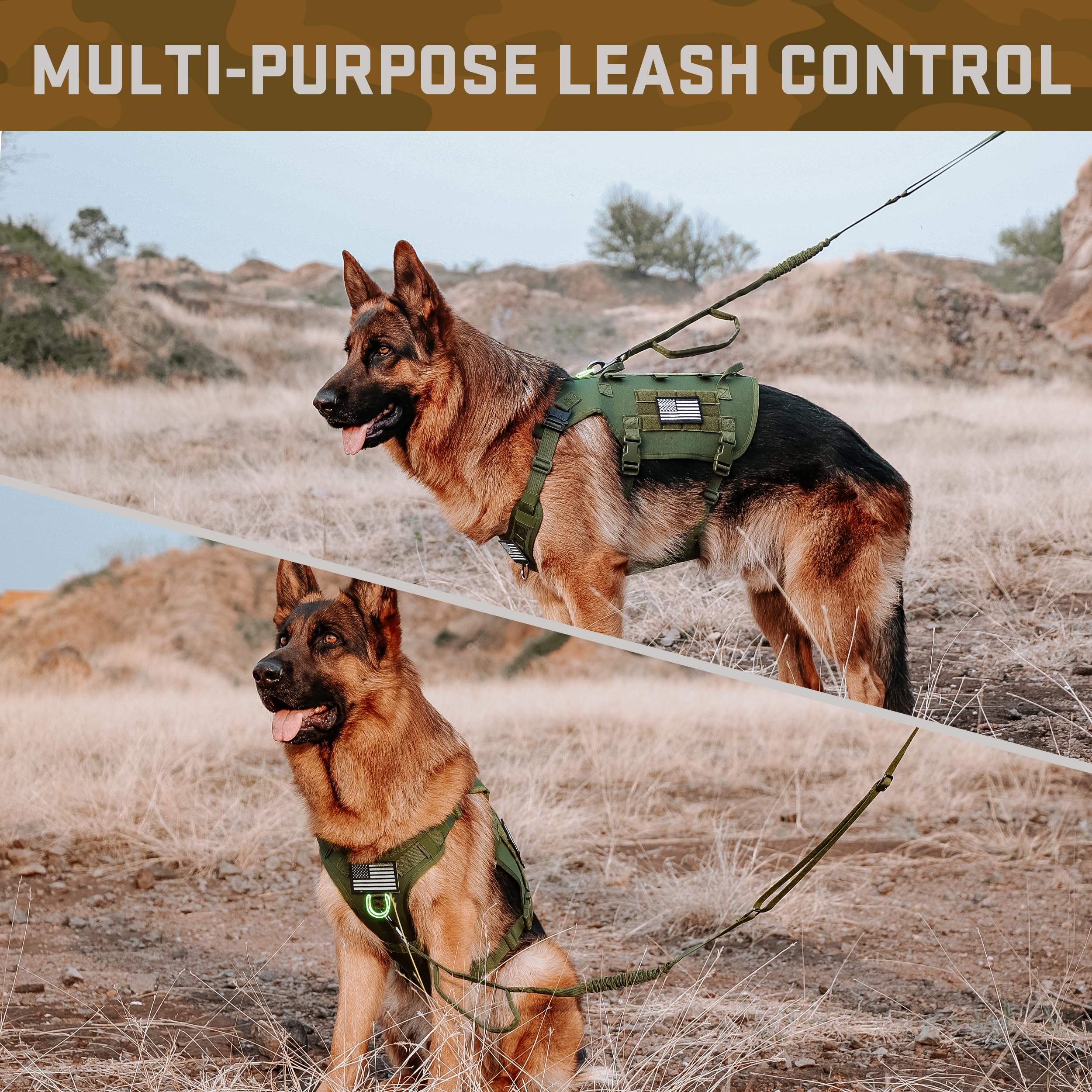 Forestpaw reflective patches on harness for improved low-light visibility
