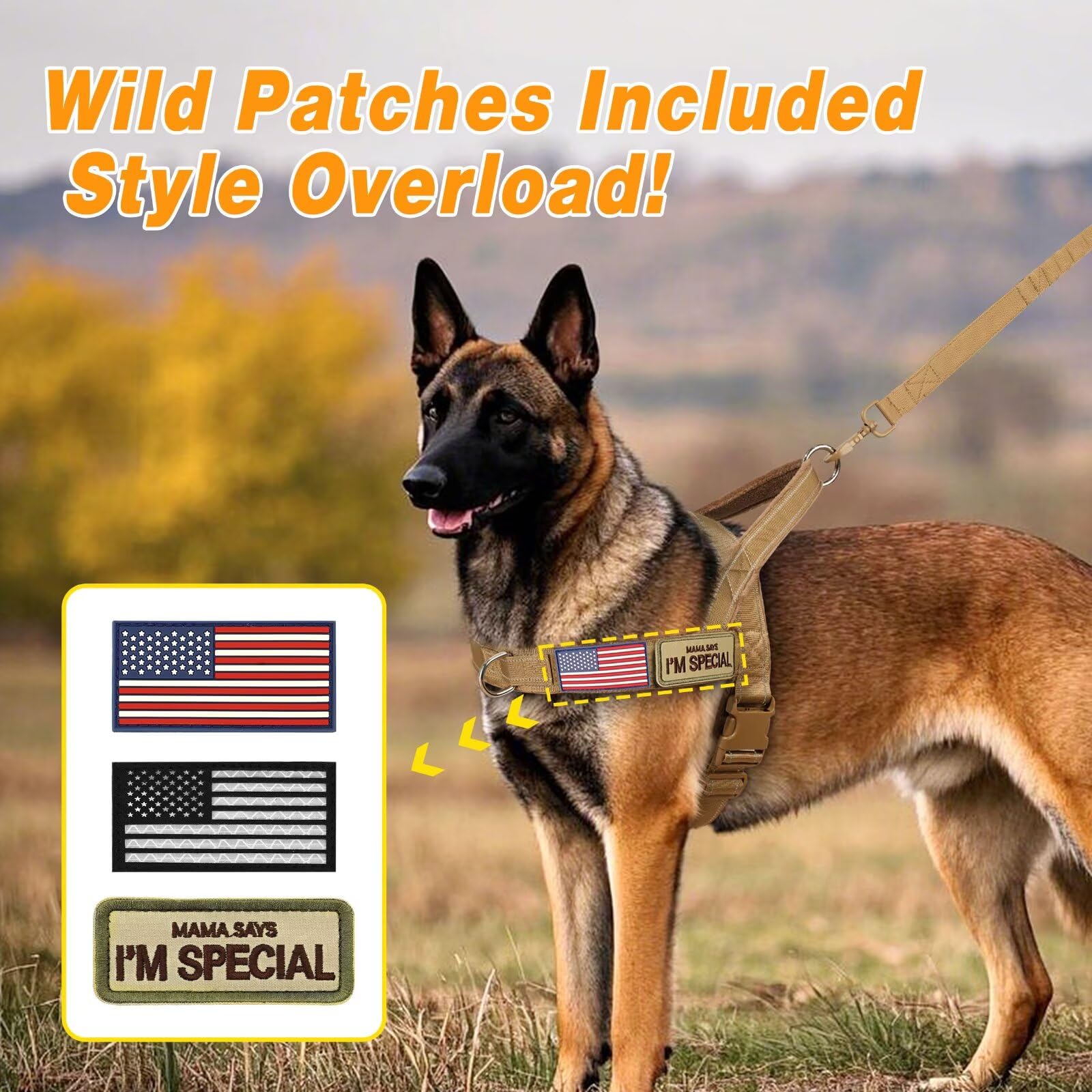 Forestpaw reflective-strip-patches add visibility and customization for outdoor activities.