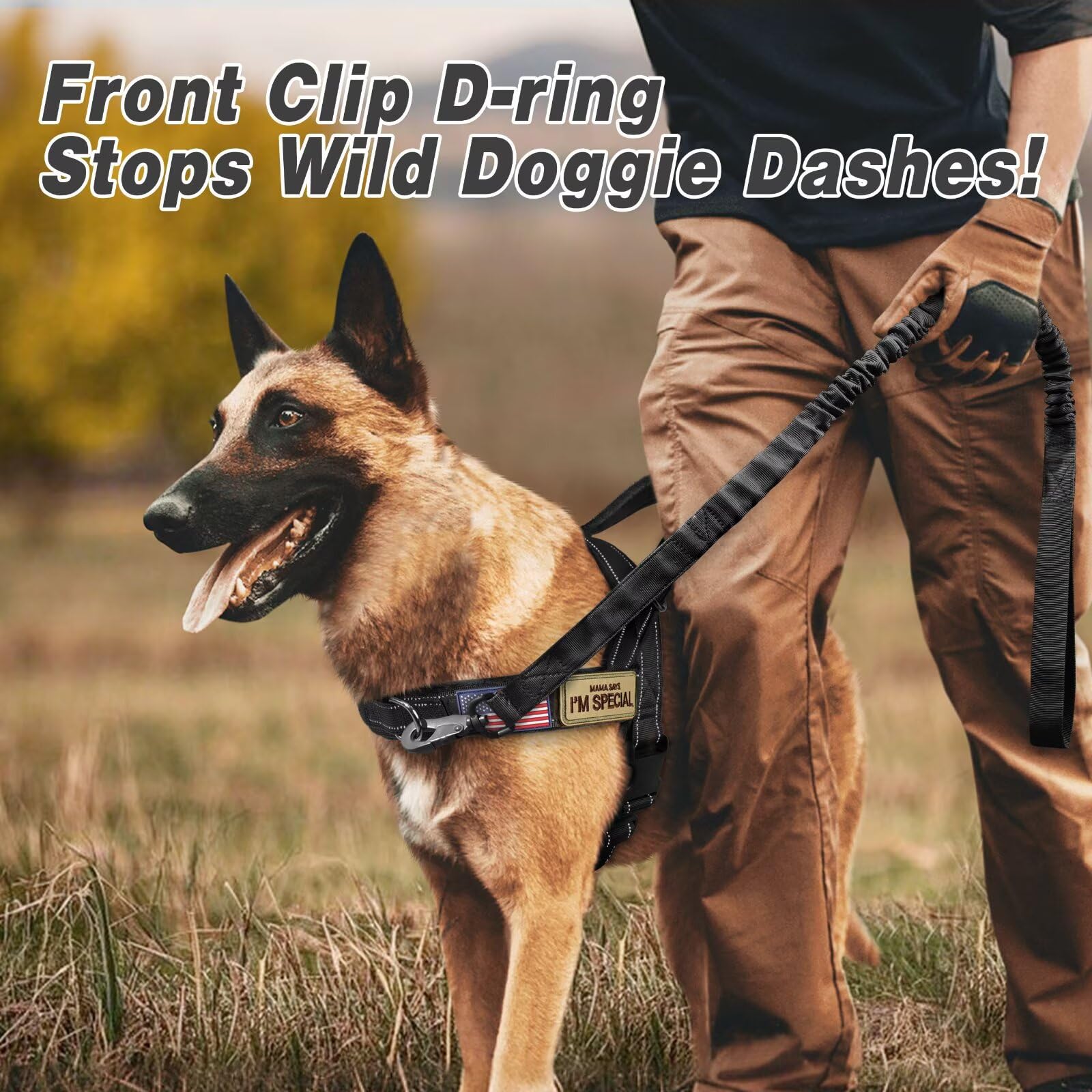 Forestpaw slip-on reflective vest for high-visibility night walks.