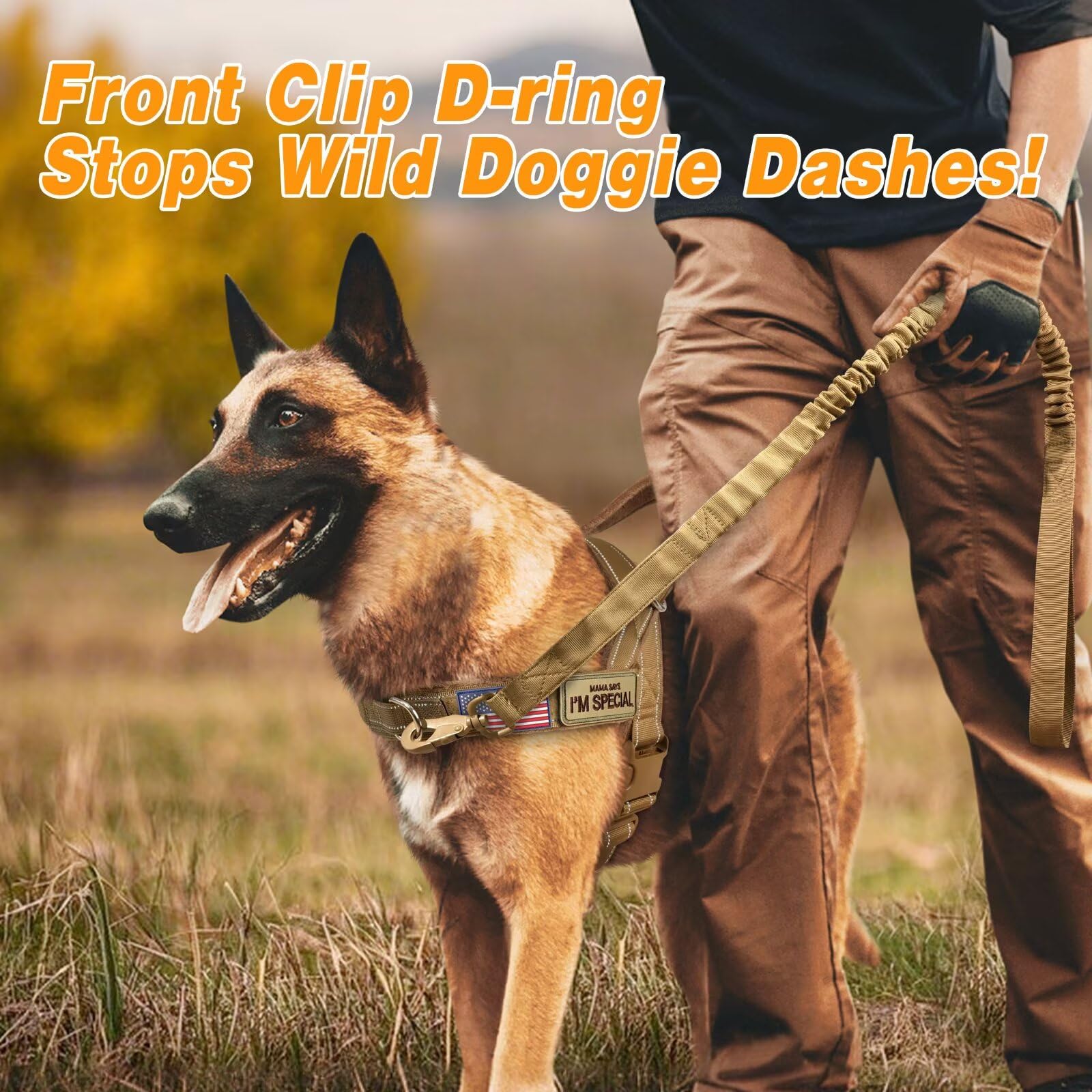 Forestpaw slip-on-vest-reflective offers high visibility for night walks.