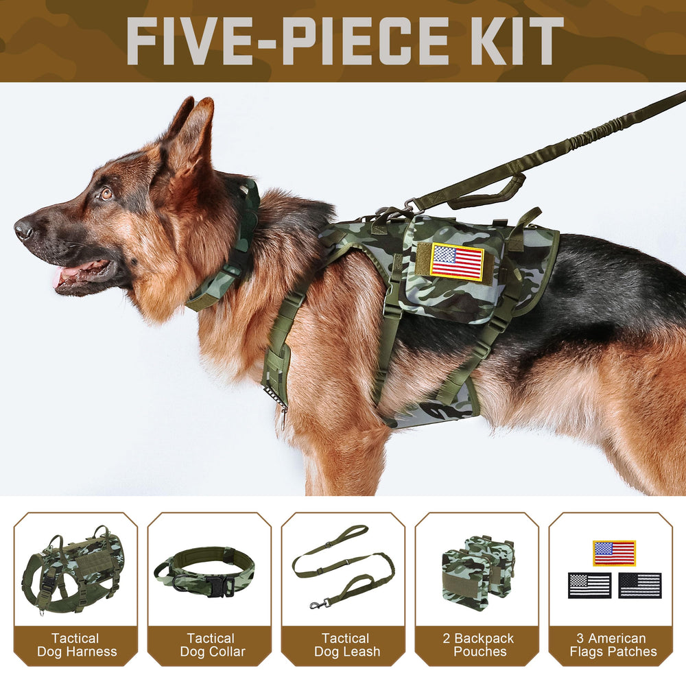 Forestpaw tactical collar front view with quick-release buckle and soft lining