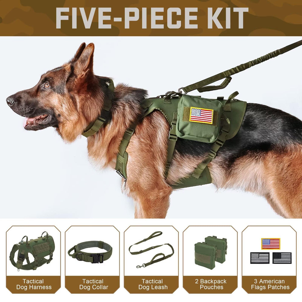 Forestpaw tactical dog harness back view shows rugged construction for hiking