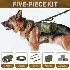 Forestpaw tactical dog harness back view shows rugged construction for hiking