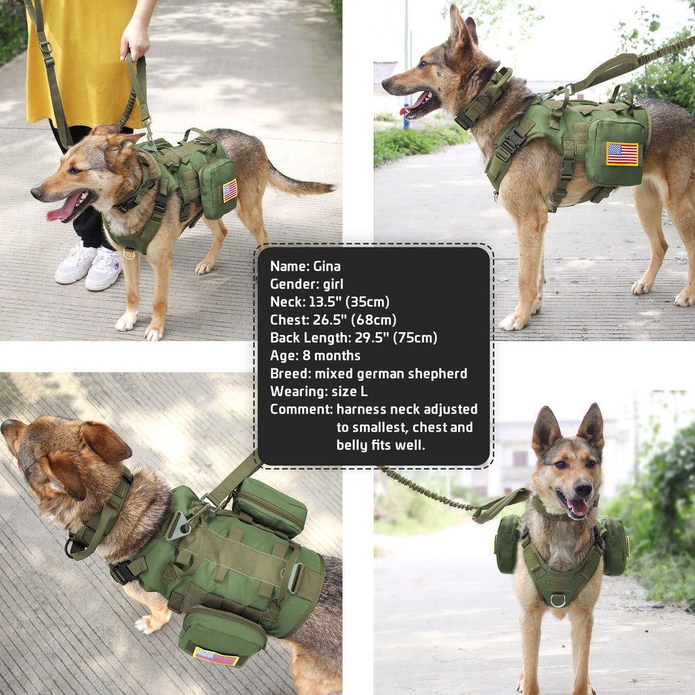 Forestpaw tactical kit contents including harness and leashes