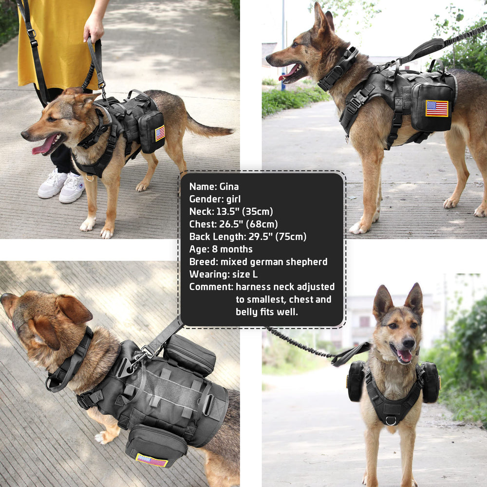 Forestpaw harness in training scenarios with two secure handles for improved control