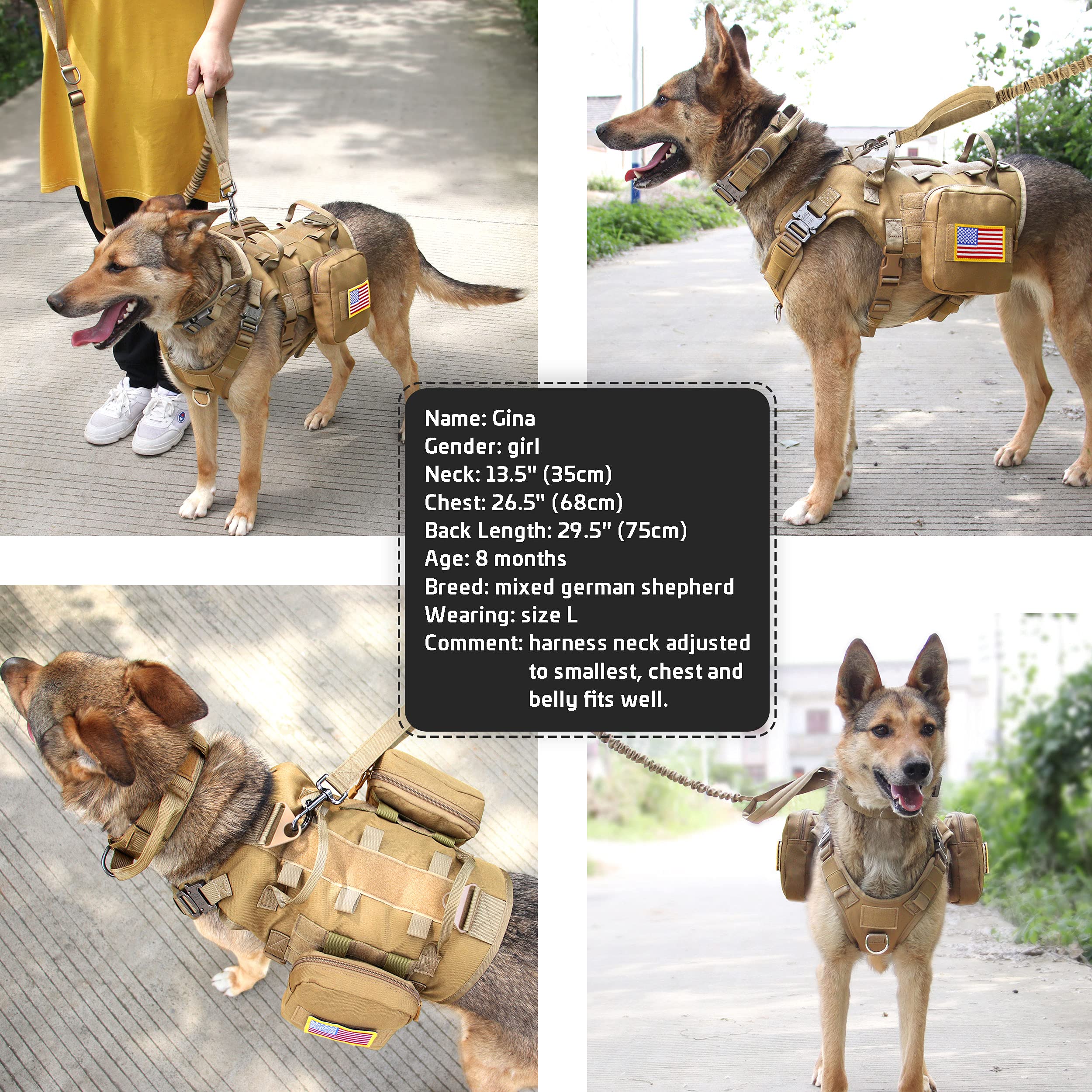 Forestpaw walking-hiking-scene image conveying versatile use in trails.