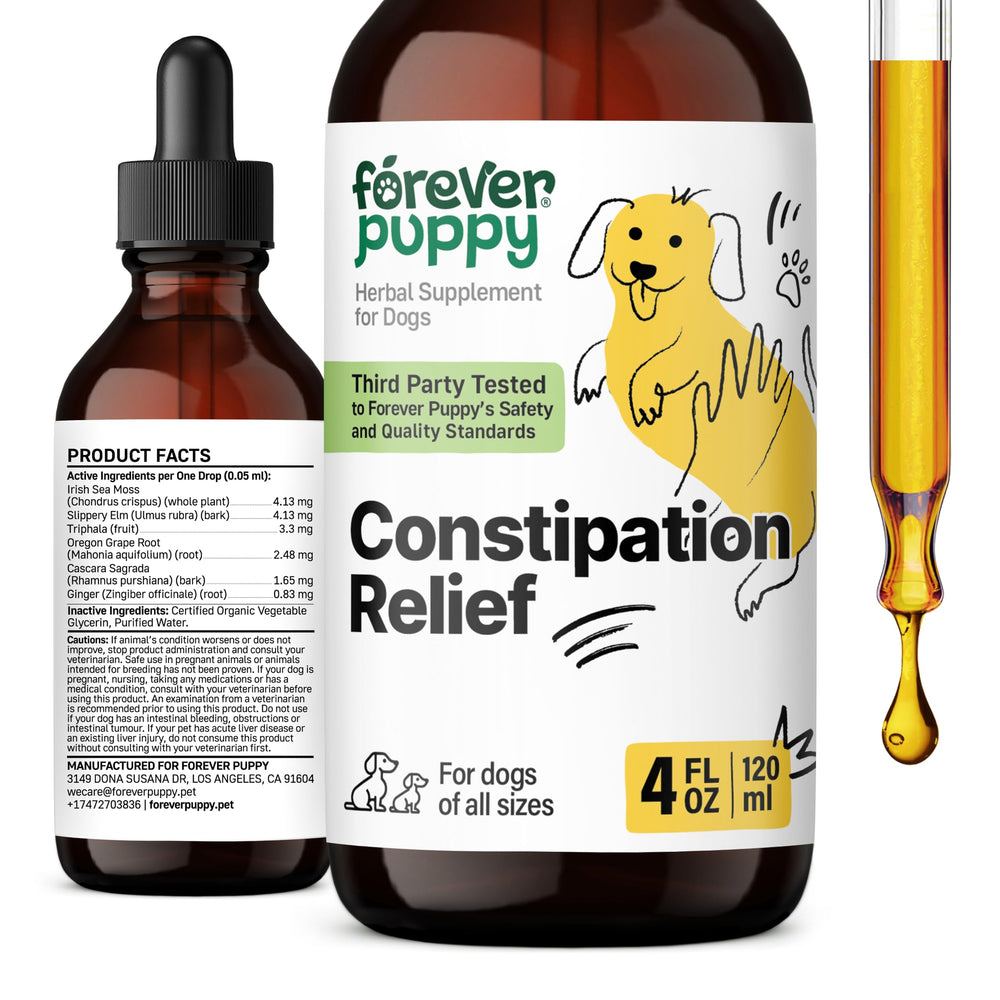 Forever Puppy constipation-relief drops bottle—easy meal addition for dogs.